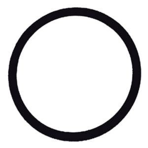 Phenix Industries - Inline Fuel Filter Replacement Viton O-Ring All - Image 1