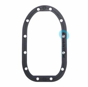 Quantum - Quantum Fuel Pump Tank Seal / Gasket - Image 1