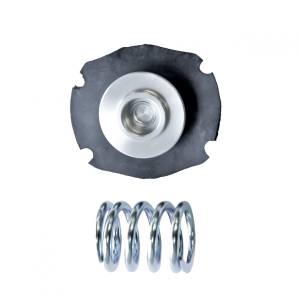 Phenix Industries - Phenix Industries Rebuild Kit For F50106-3 Fuel Pressure Regulator - Image 1