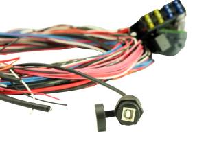 AEM Electronics - GENUINE AEM 30-2905-96 EMS 4 - 96" Flying Lead Harness with Fuse and Relay Panel - Image 1
