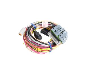 AEM Electronics - GENUINE AEM AQ-1 96" Flying Lead Wiring Harness, 30-2906-96 - Image 1