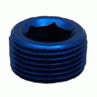 Allen Socket Pipe Thread Plugs 1" NPT Blue