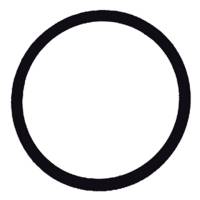 Inline Fuel Filter Replacement Viton O-Ring All