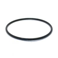Quantum - Quantum Fuel Pump Tank Seal / Gasket - Image 3